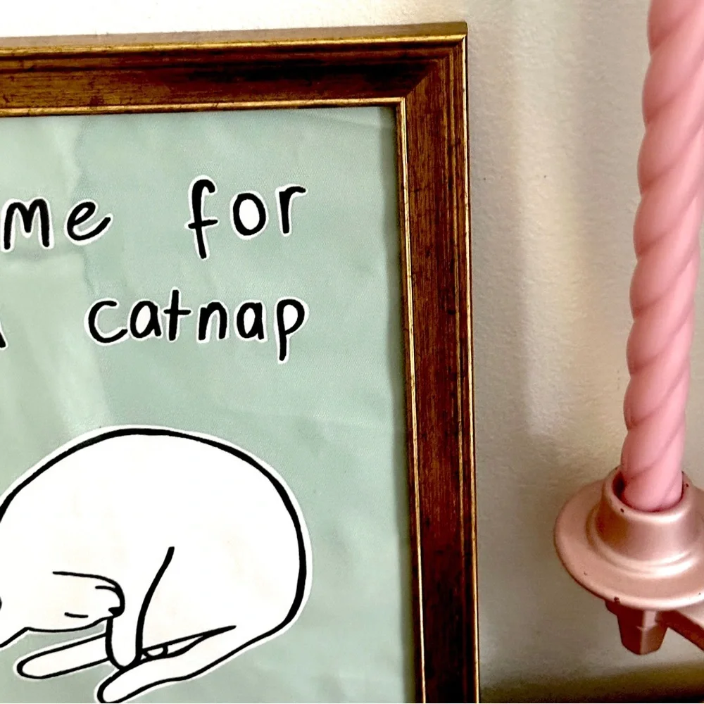 N/A time catnap